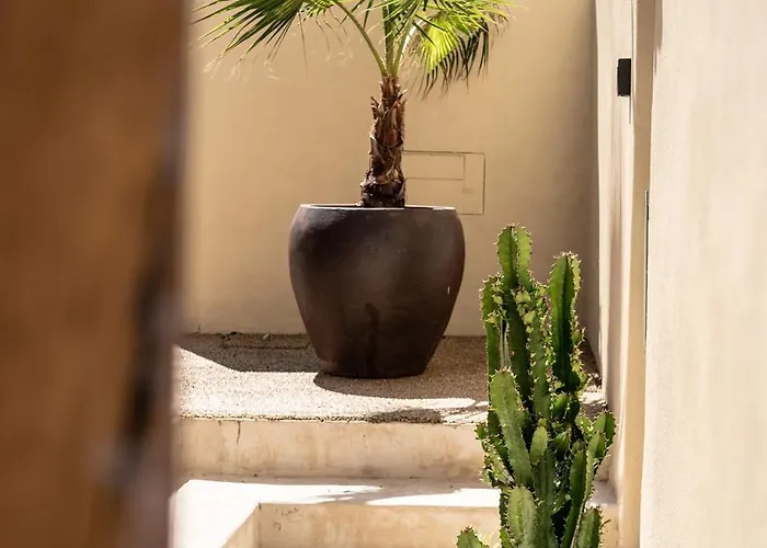 Casa Piccadilly * Sobral (Leiria)